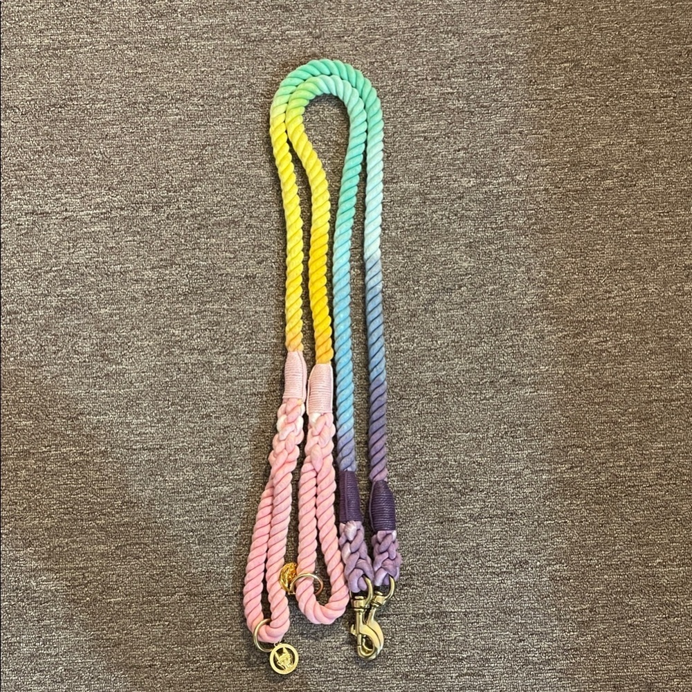 Vibrant Multicolor Dog Leash****ONLY 1, PLEASE SEE NOTE BELOW****